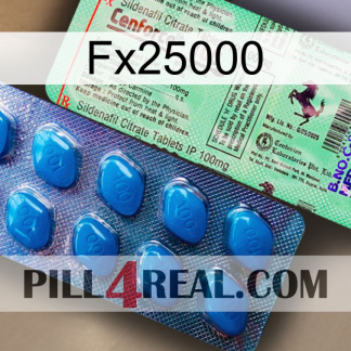 Fx25000 new02
